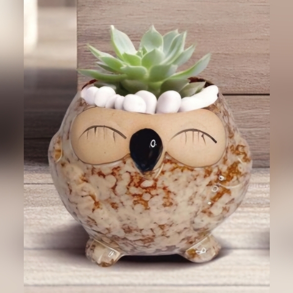 NWOT | Adorable Ceramic Owl Succulent Planter Pots | Set Of 4 | Drainage Holes - Picture 5 of 16